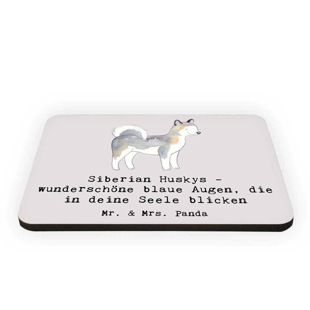 Magnet Siberian Husky Augenzauber Notiz Magnet, Kühlschrankmagnet, Motivmagnete, Whiteboard Magnet, Souvenir Magnet, Kühlschrank Dekoration, Pinnwandmagnet, Dekomagnet, Hund, Hunderasse, Rassehund, Hundebesitzer, Geschenk, Tierfreund, Schenken, Welpe