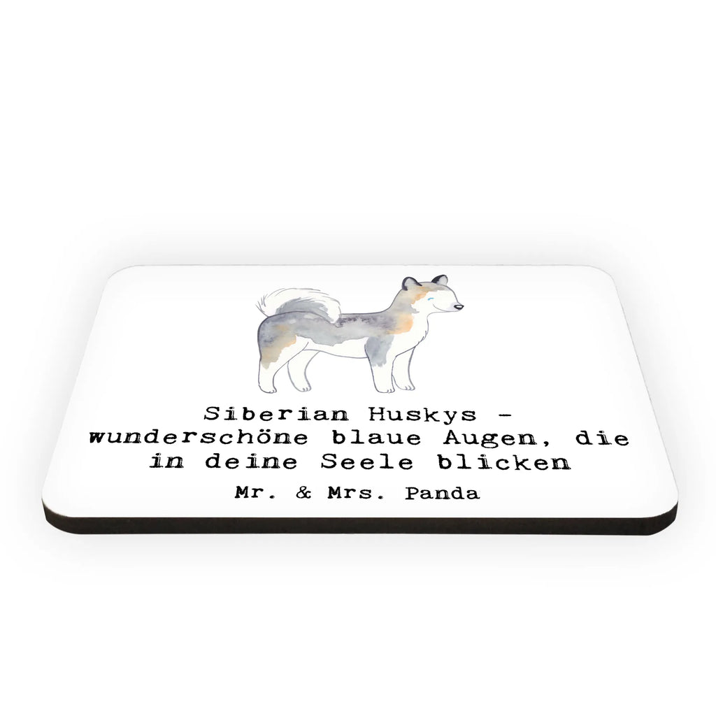 Magnet Siberian Husky Augenzauber Notiz Magnet, Kühlschrankmagnet, Motivmagnete, Whiteboard Magnet, Souvenir Magnet, Kühlschrank Dekoration, Pinnwandmagnet, Dekomagnet, Hund, Hunderasse, Rassehund, Hundebesitzer, Geschenk, Tierfreund, Schenken, Welpe