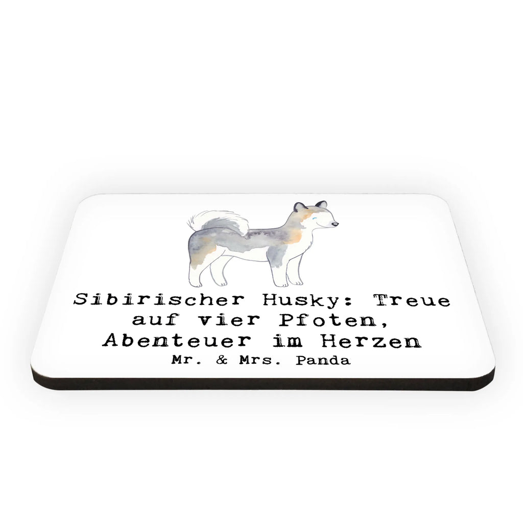 Magnet Sibirischer Husky: Treue auf vier Pfoten, Abenteuer im Herzen Kühlschrank Dekoration, Pinnwandmagnet, Whiteboard Magnet, Dekomagnet, Notiz Magnet, Souvenir Magnet, Motivmagnete, Kühlschrankmagnet, Hund, Hunderasse, Rassehund, Hundebesitzer, Geschenk, Tierfreund, Schenken, Welpe