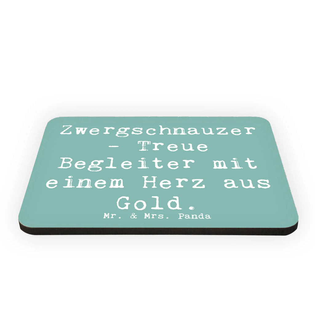 Magnet Spruch Zwergschnauzer Herz Motivmagnete, Notiz Magnet, Kühlschrank Dekoration, Souvenir Magnet, Whiteboard Magnet, Dekomagnet, Pinnwandmagnet, Kühlschrankmagnet, Hund, Hunderasse, Rassehund, Hundebesitzer, Geschenk, Tierfreund, Schenken, Welpe