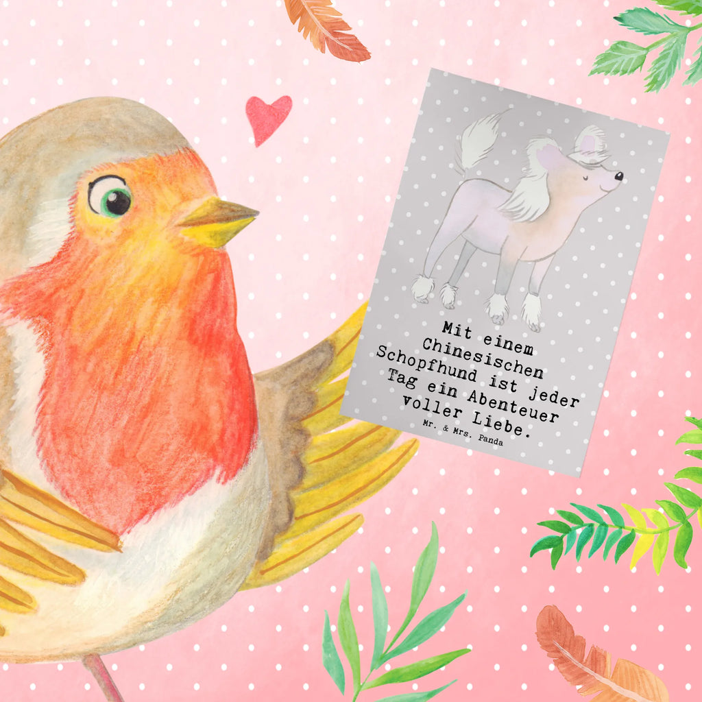 Grußkarte Chinesischer Schopfhund Abenteuer Karte, Grußkarte, Glückwunschkarte, Geburtstagskarte, Einladungskarte, Ansichtskarten, Hochzeitskarte, Klappkarte, Hund, Hunderasse, Rassehund, Hundebesitzer, Geschenk, Tierfreund, Schenken, Welpe