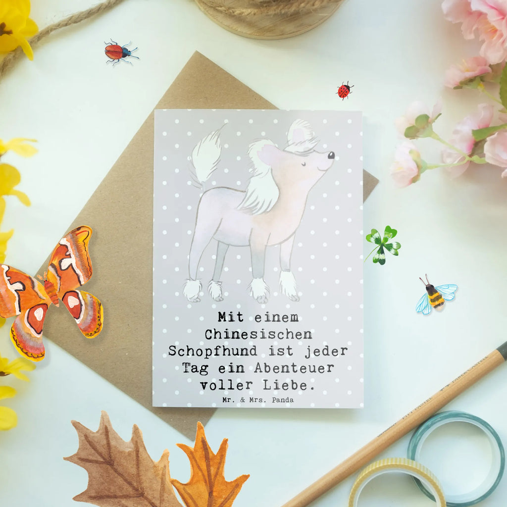 Grußkarte Chinesischer Schopfhund Abenteuer Karte, Grußkarte, Glückwunschkarte, Geburtstagskarte, Einladungskarte, Ansichtskarten, Hochzeitskarte, Klappkarte, Hund, Hunderasse, Rassehund, Hundebesitzer, Geschenk, Tierfreund, Schenken, Welpe