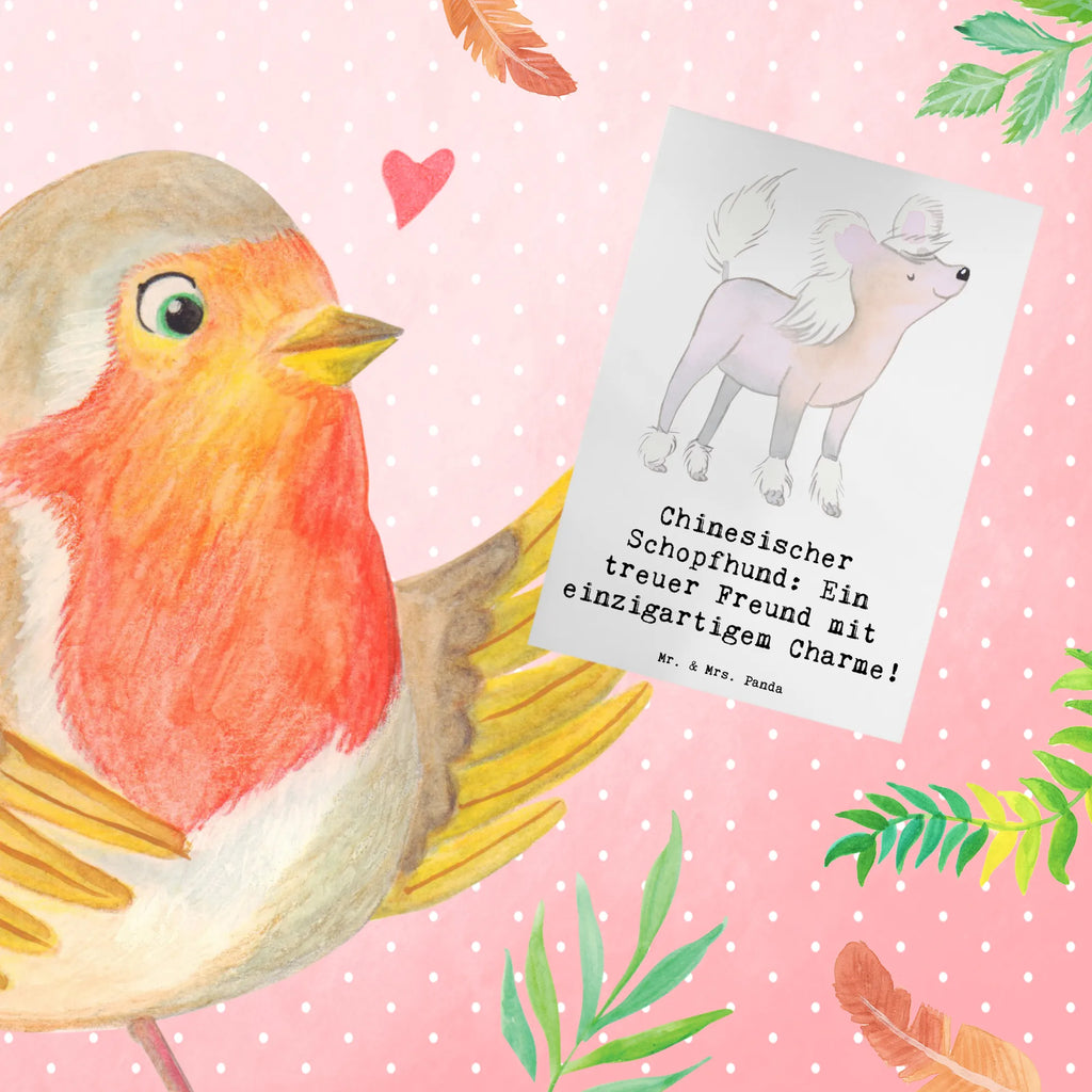 Greetings card Chinesischer Schopfhund: Ein treuer Freund mit einzigartigem Charme! Karte, Glückwunschkarte, Einladungskarte, Ansichtskarten, Geburtstagskarte, Hochzeitskarte, Grußkarte, Klappkarte, Hund, Hunderasse, Rassehund, Hundebesitzer, Geschenk, Tierfreund, Schenken, Welpe