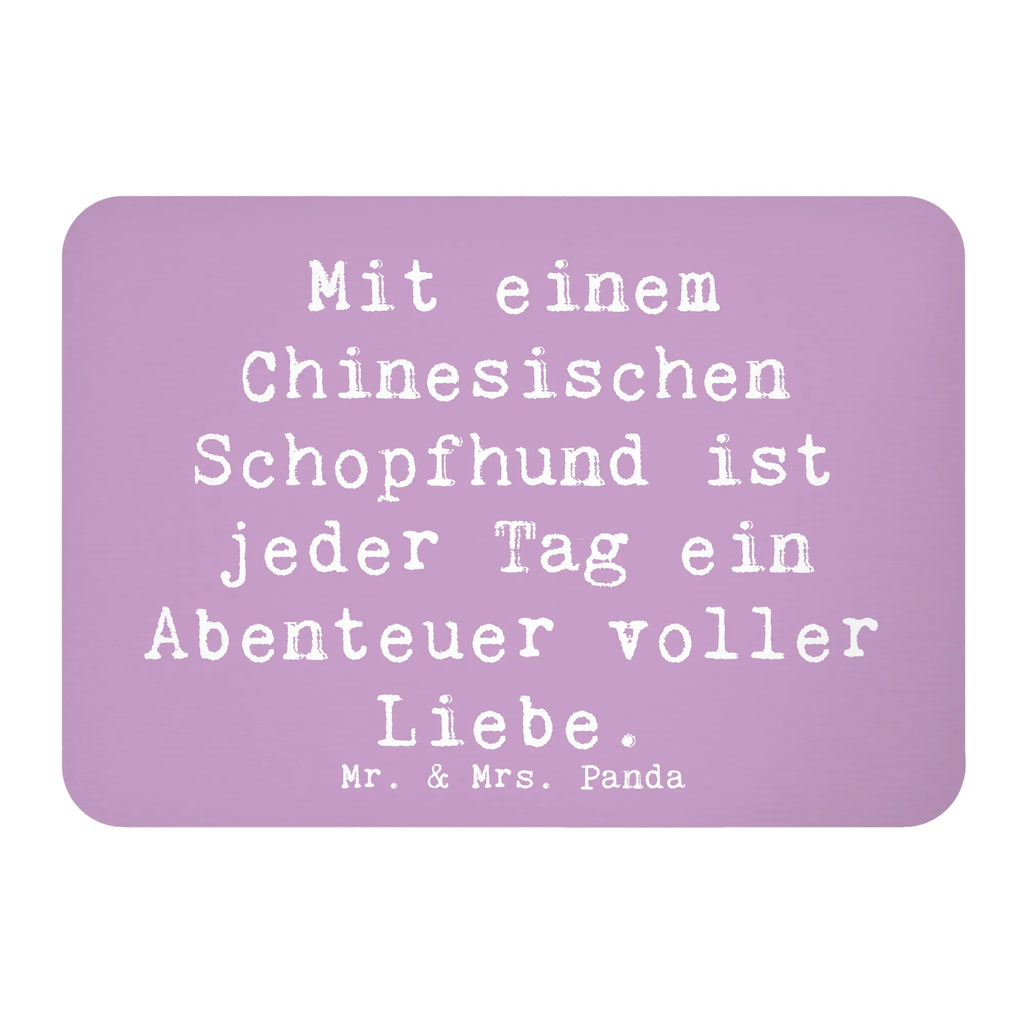 Magnet Spruch Chinesischer Schopfhund Abenteuer Kühlschrankmagnet, Notiz Magnet, Whiteboard Magnet, Dekomagnet, Pinnwandmagnet, Motivmagnete, Souvenir Magnet, Kühlschrank Dekoration, Hund, Hunderasse, Rassehund, Hundebesitzer, Geschenk, Tierfreund, Schenken, Welpe