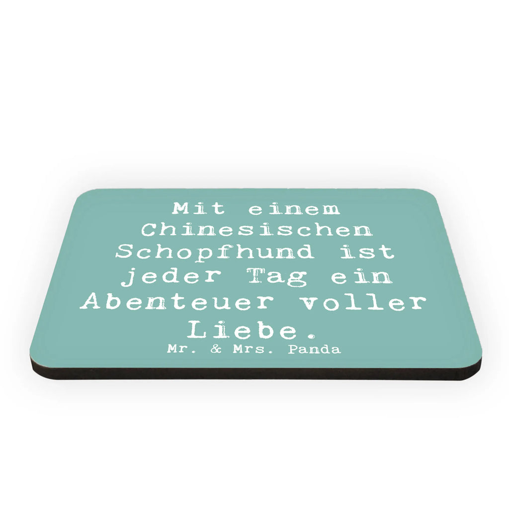 Magnet Spruch Chinesischer Schopfhund Abenteuer Kühlschrankmagnet, Notiz Magnet, Whiteboard Magnet, Dekomagnet, Pinnwandmagnet, Motivmagnete, Souvenir Magnet, Kühlschrank Dekoration, Hund, Hunderasse, Rassehund, Hundebesitzer, Geschenk, Tierfreund, Schenken, Welpe