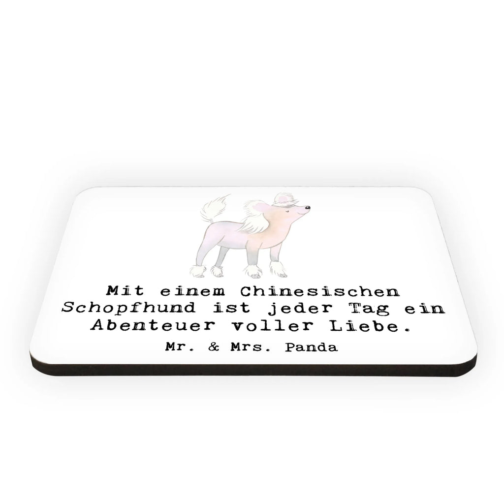 Magnet Chinesischer Schopfhund Abenteuer Souvenir Magnet, Whiteboard Magnet, Pinnwandmagnet, Notiz Magnet, Motivmagnete, Dekomagnet, Kühlschrank Dekoration, Kühlschrankmagnet, Hund, Hunderasse, Rassehund, Hundebesitzer, Geschenk, Tierfreund, Schenken, Welpe