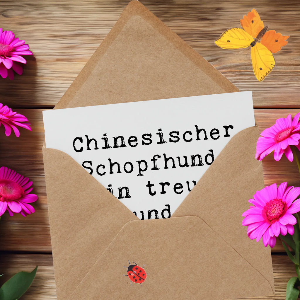Deluxe Karte Spruch Chinesischer Schopfhund Charme Hochwertige Grußkarte, Karte, Klappkarte, Hochwertige Klappkarte, Geburtstagskarte, Glückwunschkarte, Einladungskarte, Hochzeitskarte, Grußkarte, Hund, Hunderasse, Rassehund, Hundebesitzer, Geschenk, Tierfreund, Schenken, Welpe