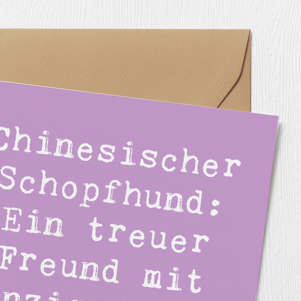 Deluxe Karte Spruch Chinesischer Schopfhund Charme Hochwertige Grußkarte, Karte, Klappkarte, Hochwertige Klappkarte, Geburtstagskarte, Glückwunschkarte, Einladungskarte, Hochzeitskarte, Grußkarte, Hund, Hunderasse, Rassehund, Hundebesitzer, Geschenk, Tierfreund, Schenken, Welpe