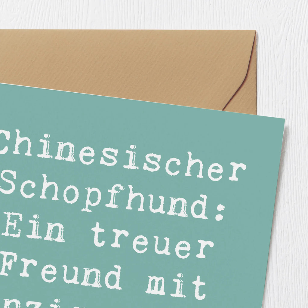 Deluxe Karte Spruch Chinesischer Schopfhund Charme Hochwertige Grußkarte, Karte, Klappkarte, Hochwertige Klappkarte, Geburtstagskarte, Glückwunschkarte, Einladungskarte, Hochzeitskarte, Grußkarte, Hund, Hunderasse, Rassehund, Hundebesitzer, Geschenk, Tierfreund, Schenken, Welpe