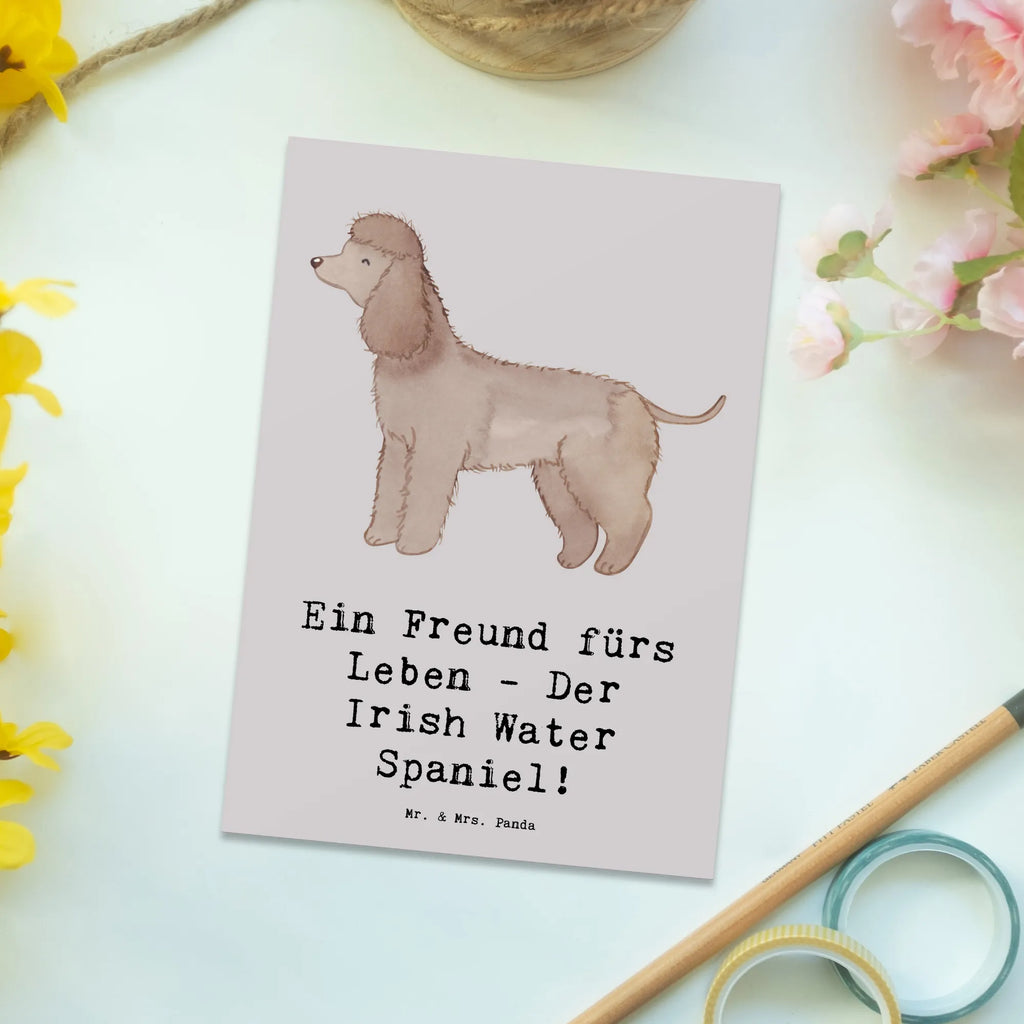 Postkarte Irish Water Spaniel Freund Ansichtskarten, Einladungskarten Geburtstag, Ansichtskarte, Karte, Einladung, Postkarte, Geburtstagskarte, Einladung Geburtstag, Einladungskarte, Geschenkkarte, Dankeskarte, Grußkarte, Hund, Hunderasse, Rassehund, Hundebesitzer, Geschenk, Tierfreund, Schenken, Welpe