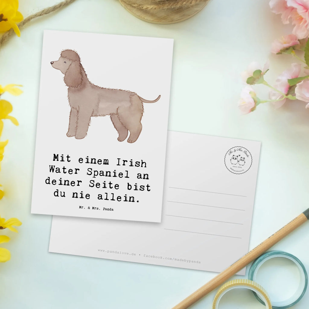 Postcard Mit einem Irish Water Spaniel an deiner Seite bist du nie allein. Ansichtskarten, Postkarte, Einladungskarte, Einladungskarten Geburtstag, Einladung Geburtstag, Dankeskarte, Karte, Einladung, Geschenkkarte, Ansichtskarte, Geburtstagskarte, Grußkarte, Hund, Hunderasse, Rassehund, Hundebesitzer, Geschenk, Tierfreund, Schenken, Welpe