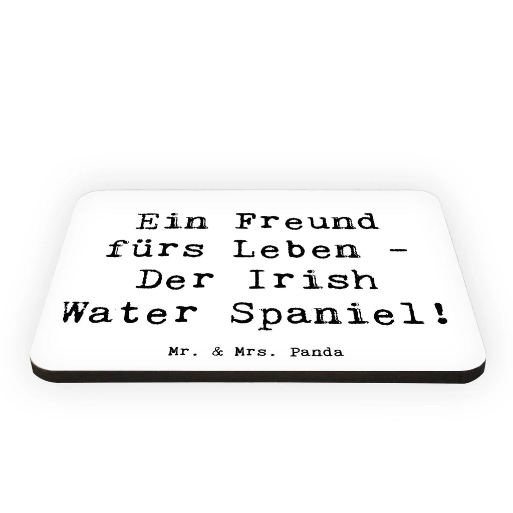 Magnet Spruch Irish Water Spaniel Freund Dekomagnet, Motivmagnete, Souvenir Magnet, Kühlschrankmagnet, Pinnwandmagnet, Kühlschrank Dekoration, Whiteboard Magnet, Notiz Magnet, Hund, Hunderasse, Rassehund, Hundebesitzer, Geschenk, Tierfreund, Schenken, Welpe