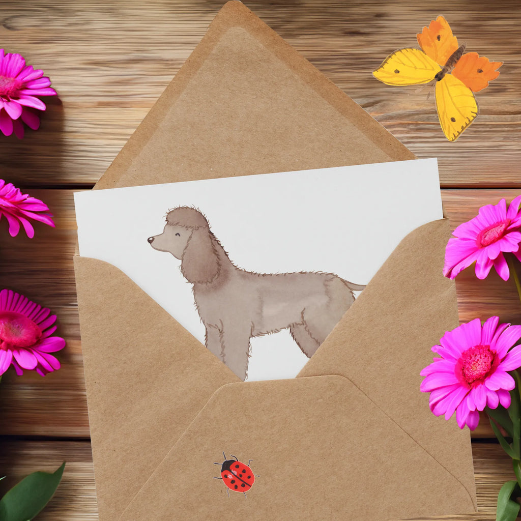 Deluxe Karte Irish Water Spaniel Freund Hochzeitskarte, Hochwertige Klappkarte, Glückwunschkarte, Hochwertige Grußkarte, Karte, Klappkarte, Einladungskarte, Grußkarte, Geburtstagskarte, Hund, Hunderasse, Rassehund, Hundebesitzer, Geschenk, Tierfreund, Schenken, Welpe