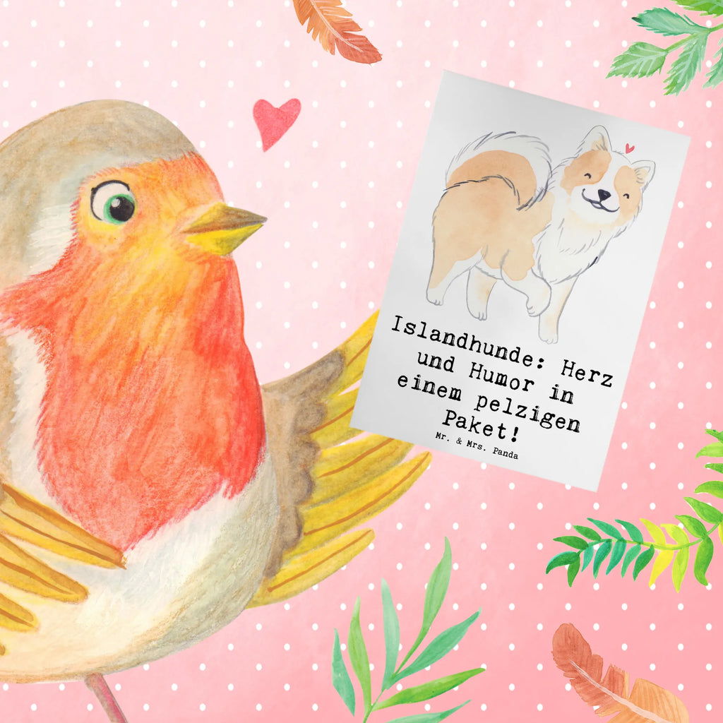 Greetings card Islandhunde: Herz und Humor in einem pelzigen Paket! Ansichtskarten, Einladungskarte, Grußkarte, Glückwunschkarte, Hochzeitskarte, Karte, Klappkarte, Geburtstagskarte, Hund, Hunderasse, Rassehund, Hundebesitzer, Geschenk, Tierfreund, Schenken, Welpe
