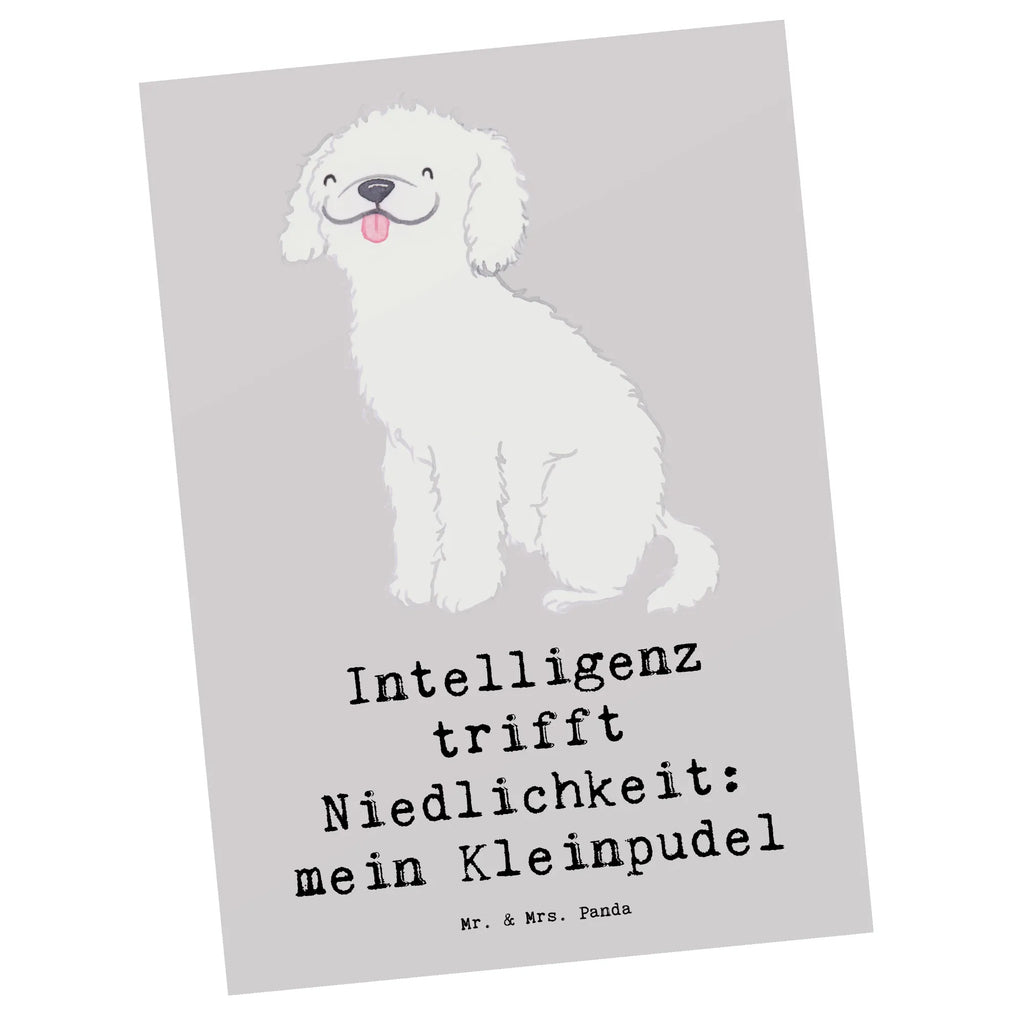 Postcard Intelligenz trifft Niedlichkeit: mein Kleinpudel Einladung Geburtstag, Geschenkkarte, Geburtstagskarte, Einladungskarte, Ansichtskarte, Einladungskarten Geburtstag, Karte, Ansichtskarten, Postkarte, Einladung, Grußkarte, Dankeskarte, Hund, Hunderasse, Rassehund, Hundebesitzer, Geschenk, Tierfreund, Schenken, Welpe
