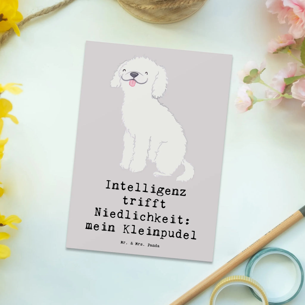 Postcard Intelligenz trifft Niedlichkeit: mein Kleinpudel Einladung Geburtstag, Geschenkkarte, Geburtstagskarte, Einladungskarte, Ansichtskarte, Einladungskarten Geburtstag, Karte, Ansichtskarten, Postkarte, Einladung, Grußkarte, Dankeskarte, Hund, Hunderasse, Rassehund, Hundebesitzer, Geschenk, Tierfreund, Schenken, Welpe