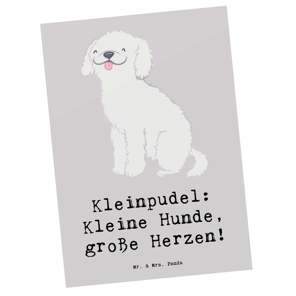 Postcard Kleinpudel: Kleine Hunde, große Herzen! Karte, Einladungskarten Geburtstag, Ansichtskarte, Postkarte, Einladung, Geschenkkarte, Dankeskarte, Geburtstagskarte, Grußkarte, Einladungskarte, Ansichtskarten, Einladung Geburtstag, Hund, Hunderasse, Rassehund, Hundebesitzer, Geschenk, Tierfreund, Schenken, Welpe