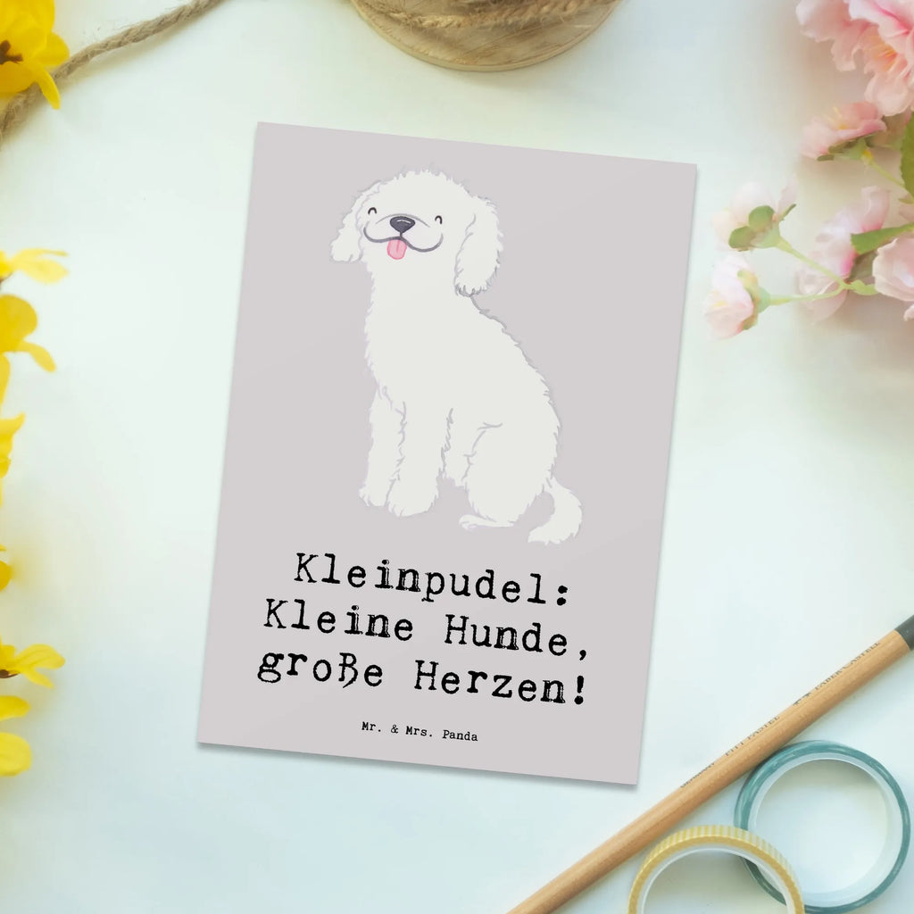 Postcard Kleinpudel: Kleine Hunde, große Herzen! Karte, Einladungskarten Geburtstag, Ansichtskarte, Postkarte, Einladung, Geschenkkarte, Dankeskarte, Geburtstagskarte, Grußkarte, Einladungskarte, Ansichtskarten, Einladung Geburtstag, Hund, Hunderasse, Rassehund, Hundebesitzer, Geschenk, Tierfreund, Schenken, Welpe