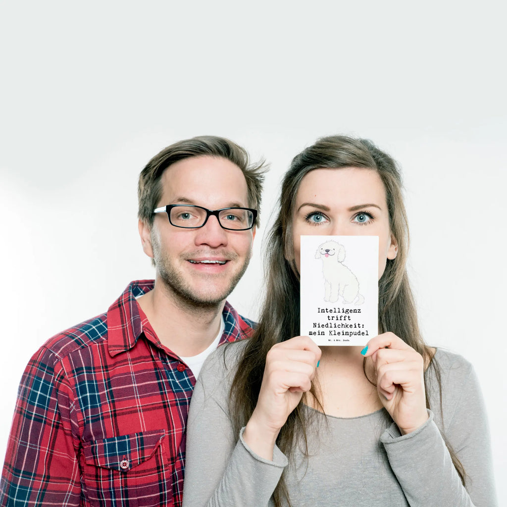 Postcard Intelligenz trifft Niedlichkeit: mein Kleinpudel Einladung Geburtstag, Geschenkkarte, Geburtstagskarte, Einladungskarte, Ansichtskarte, Einladungskarten Geburtstag, Karte, Ansichtskarten, Postkarte, Einladung, Grußkarte, Dankeskarte, Hund, Hunderasse, Rassehund, Hundebesitzer, Geschenk, Tierfreund, Schenken, Welpe
