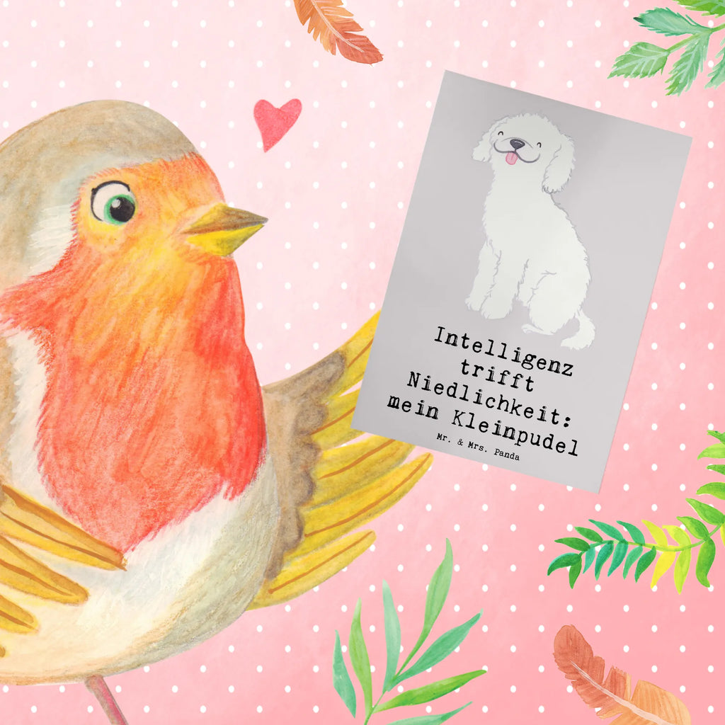 Greetings card Intelligenz trifft Niedlichkeit: mein Kleinpudel Karte, Geburtstagskarte, Hochzeitskarte, Ansichtskarten, Glückwunschkarte, Einladungskarte, Grußkarte, Klappkarte, Hund, Hunderasse, Rassehund, Hundebesitzer, Geschenk, Tierfreund, Schenken, Welpe