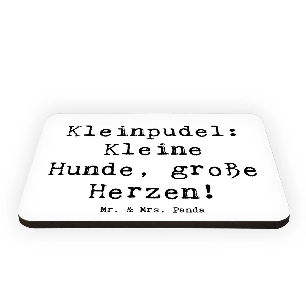 Magnet Spruch Kleinpudel Liebe Kühlschrankmagnet, Whiteboard Magnet, Souvenir Magnet, Dekomagnet, Kühlschrank Dekoration, Notiz Magnet, Pinnwandmagnet, Motivmagnete, Hund, Hunderasse, Rassehund, Hundebesitzer, Geschenk, Tierfreund, Schenken, Welpe