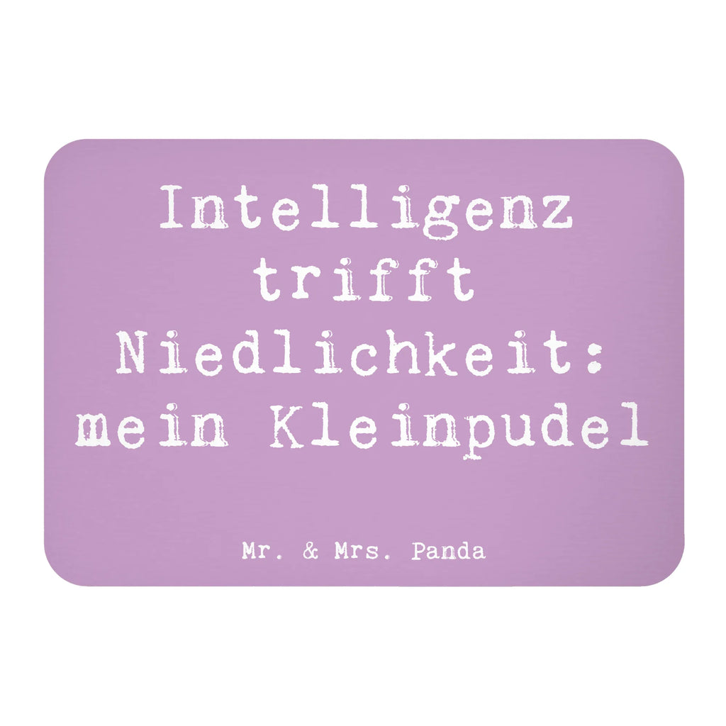 Magnet Saying Intelligenz trifft Niedlichkeit: mein Kleinpudel Souvenir Magnet, Whiteboard Magnet, Kühlschrankmagnet, Kühlschrank Dekoration, Pinnwandmagnet, Notiz Magnet, Dekomagnet, Motivmagnete, Hund, Hunderasse, Rassehund, Hundebesitzer, Geschenk, Tierfreund, Schenken, Welpe
