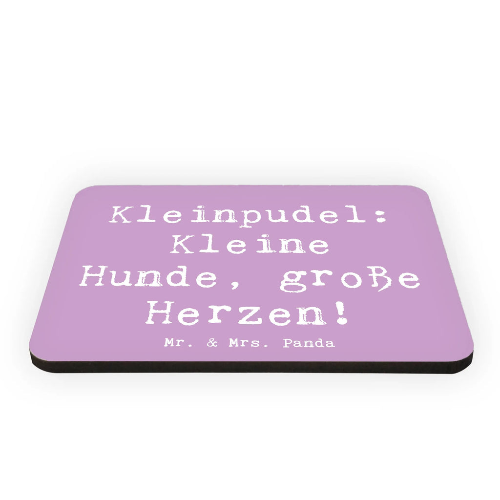 Magnet Spruch Kleinpudel Liebe Kühlschrankmagnet, Whiteboard Magnet, Souvenir Magnet, Dekomagnet, Kühlschrank Dekoration, Notiz Magnet, Pinnwandmagnet, Motivmagnete, Hund, Hunderasse, Rassehund, Hundebesitzer, Geschenk, Tierfreund, Schenken, Welpe