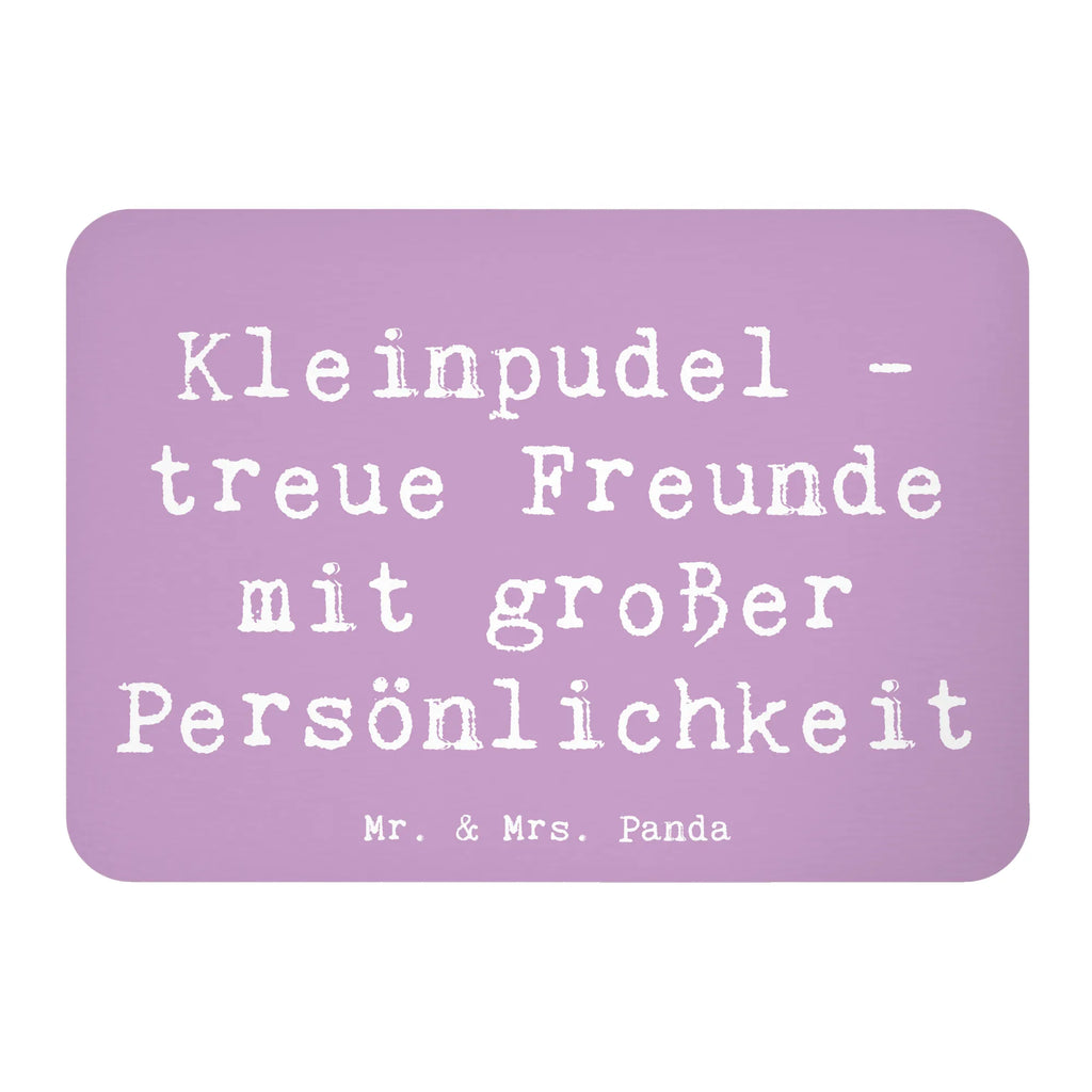 Magnet Saying Kleinpudel - treue Freunde mit großer Persönlichkeit Souvenir Magnet, Notiz Magnet, Pinnwandmagnet, Kühlschrankmagnet, Dekomagnet, Whiteboard Magnet, Motivmagnete, Kühlschrank Dekoration, Hund, Hunderasse, Rassehund, Hundebesitzer, Geschenk, Tierfreund, Schenken, Welpe