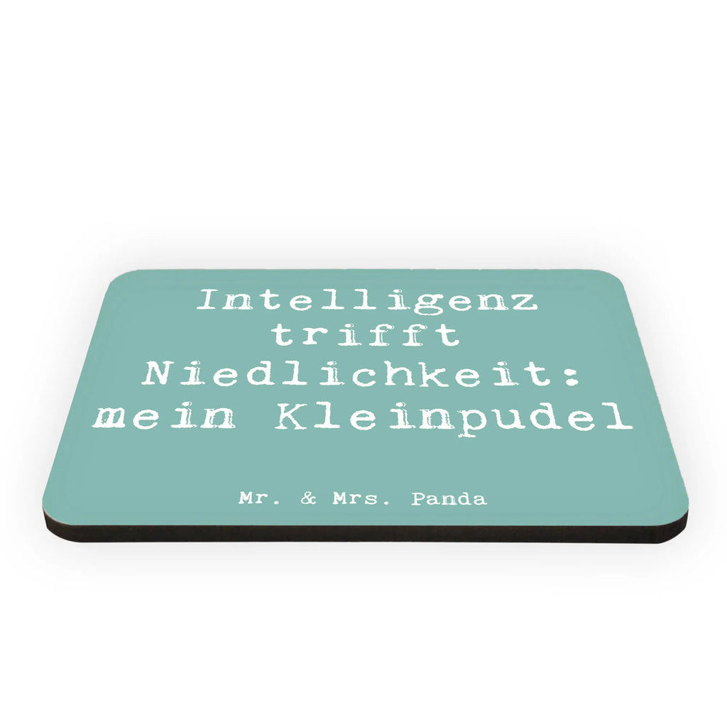 Magnet Saying Intelligenz trifft Niedlichkeit: mein Kleinpudel Souvenir Magnet, Whiteboard Magnet, Kühlschrankmagnet, Kühlschrank Dekoration, Pinnwandmagnet, Notiz Magnet, Dekomagnet, Motivmagnete, Hund, Hunderasse, Rassehund, Hundebesitzer, Geschenk, Tierfreund, Schenken, Welpe