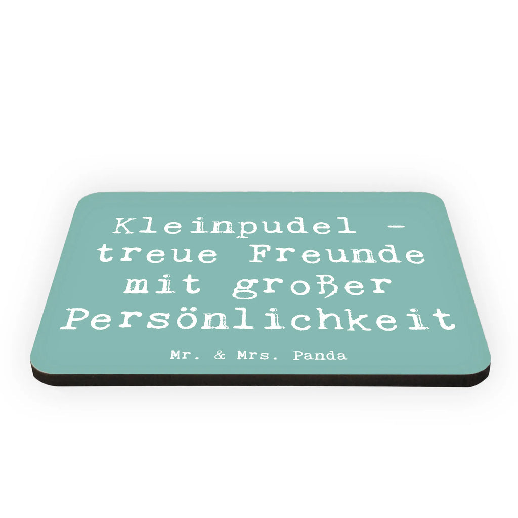 Magnet Saying Kleinpudel - treue Freunde mit großer Persönlichkeit Souvenir Magnet, Notiz Magnet, Pinnwandmagnet, Kühlschrankmagnet, Dekomagnet, Whiteboard Magnet, Motivmagnete, Kühlschrank Dekoration, Hund, Hunderasse, Rassehund, Hundebesitzer, Geschenk, Tierfreund, Schenken, Welpe