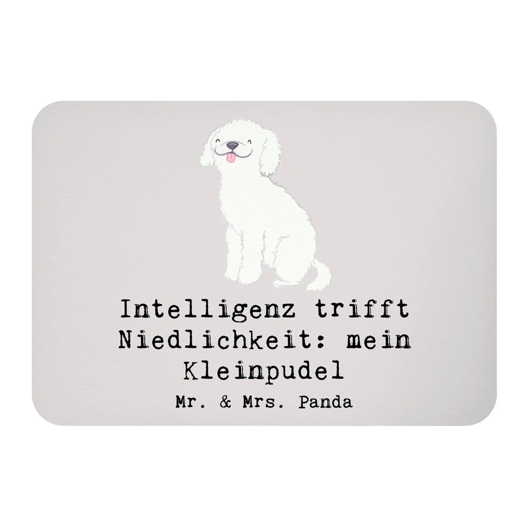 Magnet Intelligenz trifft Niedlichkeit: mein Kleinpudel Motivmagnete, Whiteboard Magnet, Notiz Magnet, Pinnwandmagnet, Kühlschrank Dekoration, Souvenir Magnet, Kühlschrankmagnet, Dekomagnet, Hund, Hunderasse, Rassehund, Hundebesitzer, Geschenk, Tierfreund, Schenken, Welpe
