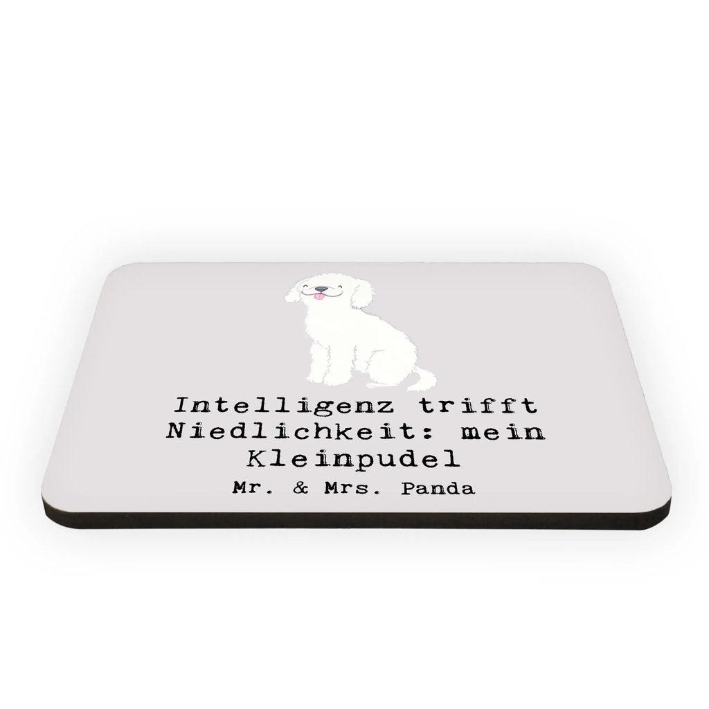 Magnet Intelligenz trifft Niedlichkeit: mein Kleinpudel Motivmagnete, Whiteboard Magnet, Notiz Magnet, Pinnwandmagnet, Kühlschrank Dekoration, Souvenir Magnet, Kühlschrankmagnet, Dekomagnet, Hund, Hunderasse, Rassehund, Hundebesitzer, Geschenk, Tierfreund, Schenken, Welpe
