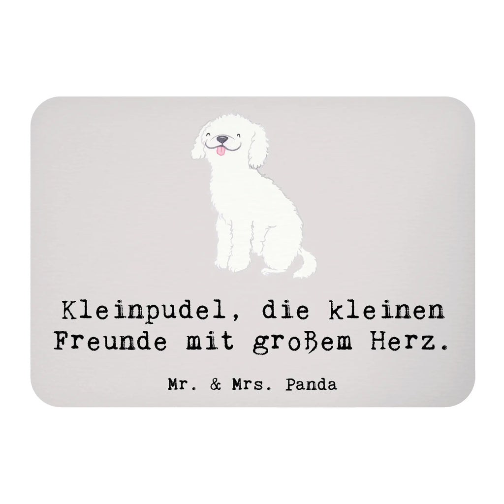 Magnet Kleinpudel, die kleinen Freunde mit großem Herz. Dekomagnet, Pinnwandmagnet, Notiz Magnet, Motivmagnete, Whiteboard Magnet, Kühlschrank Dekoration, Souvenir Magnet, Kühlschrankmagnet, Hund, Hunderasse, Rassehund, Hundebesitzer, Geschenk, Tierfreund, Schenken, Welpe