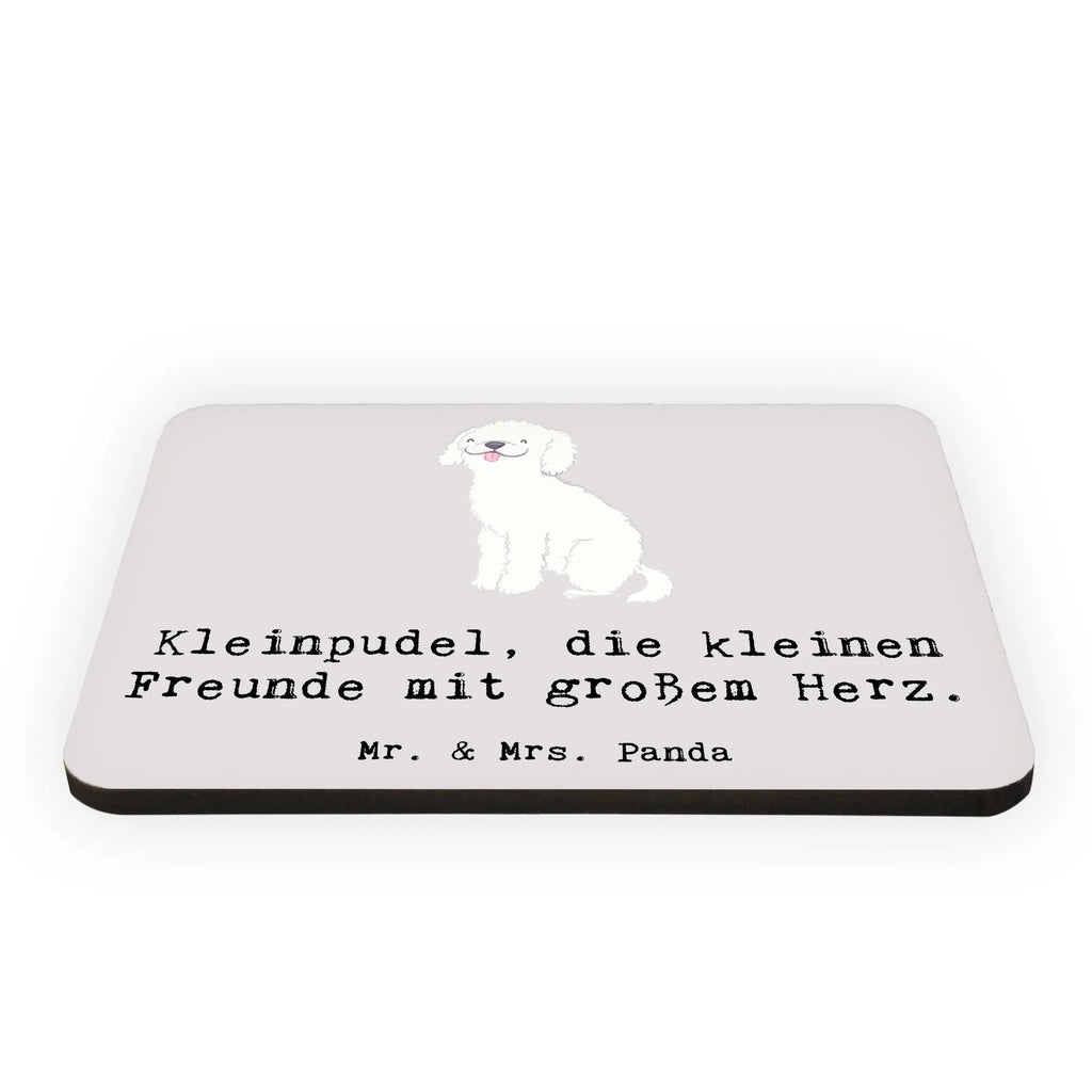 Magnet Kleinpudel, die kleinen Freunde mit großem Herz. Dekomagnet, Pinnwandmagnet, Notiz Magnet, Motivmagnete, Whiteboard Magnet, Kühlschrank Dekoration, Souvenir Magnet, Kühlschrankmagnet, Hund, Hunderasse, Rassehund, Hundebesitzer, Geschenk, Tierfreund, Schenken, Welpe