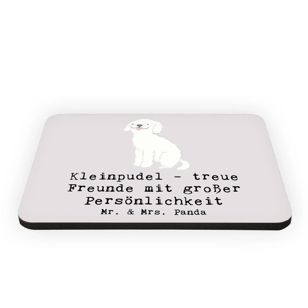 Magnet Kleinpudel Freunde Kühlschrankmagnet, Dekomagnet, Kühlschrank Dekoration, Motivmagnete, Whiteboard Magnet, Souvenir Magnet, Notiz Magnet, Pinnwandmagnet, Hund, Hunderasse, Rassehund, Hundebesitzer, Geschenk, Tierfreund, Schenken, Welpe