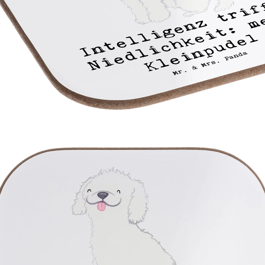Square coaster Intelligenz trifft Niedlichkeit: mein Kleinpudel Untersetzer für Gläser, Untersetzer Design, Untersetzer aus Holz, Bierdeckel, Getränkeuntersetzer, Glasuntersetzer, Tassen Untersetzer, Holzuntersetzer, Untersetzer, Korkuntersetzer, Untersetzer Gläser, Untersetzer Holz, Hund, Hunderasse, Rassehund, Hundebesitzer, Geschenk, Tierfreund, Schenken, Welpe