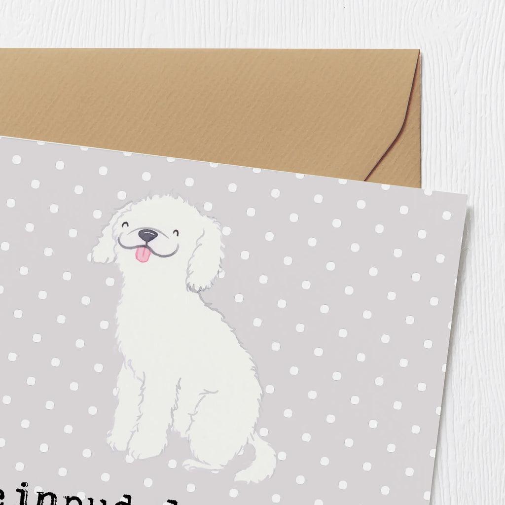 Deluxe Karte Kleinpudel Freunde Geburtstagskarte, Hochzeitskarte, Karte, Einladungskarte, Hochwertige Klappkarte, Grußkarte, Hochwertige Grußkarte, Glückwunschkarte, Klappkarte, Hund, Hunderasse, Rassehund, Hundebesitzer, Geschenk, Tierfreund, Schenken, Welpe