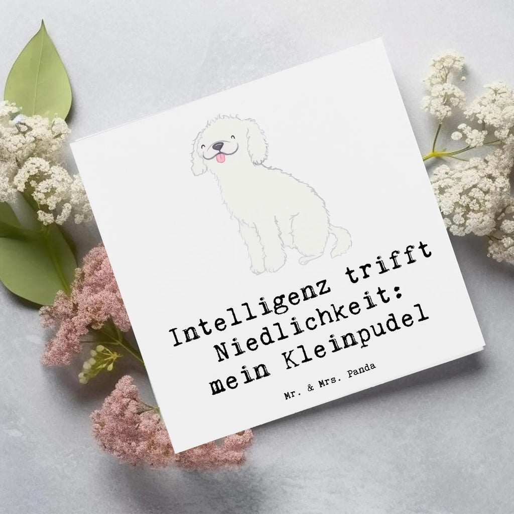 Deluxe Card Intelligenz trifft Niedlichkeit: mein Kleinpudel Klappkarte, Karte, Grußkarte, Glückwunschkarte, Hochzeitskarte, Hochwertige Klappkarte, Einladungskarte, Hochwertige Grußkarte, Geburtstagskarte, Hund, Hunderasse, Rassehund, Hundebesitzer, Geschenk, Tierfreund, Schenken, Welpe