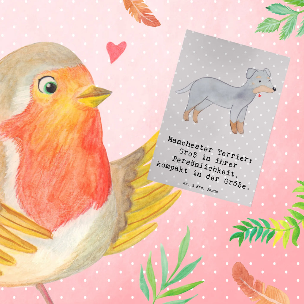 Greetings card Manchester Terrier: Groß in ihrer Persönlichkeit, kompakt in der Größe. Geburtstagskarte, Ansichtskarten, Einladungskarte, Karte, Klappkarte, Glückwunschkarte, Grußkarte, Hochzeitskarte, Hund, Hunderasse, Rassehund, Hundebesitzer, Geschenk, Tierfreund, Schenken, Welpe