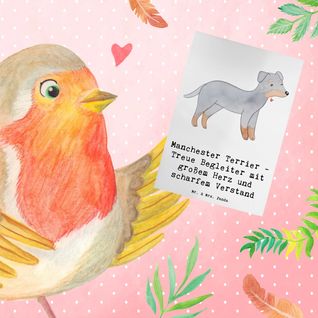 Greetings card Manchester Terrier - Treue Begleiter mit großem Herz und scharfem Verstand Geburtstagskarte, Grußkarte, Glückwunschkarte, Hochzeitskarte, Karte, Ansichtskarten, Einladungskarte, Klappkarte, Hund, Hunderasse, Rassehund, Hundebesitzer, Geschenk, Tierfreund, Schenken, Welpe