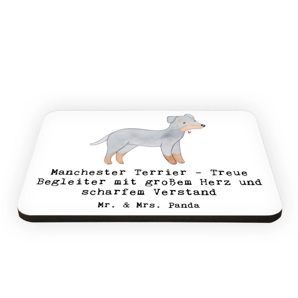 Magnet Manchester Terrier Begleiter Whiteboard Magnet, Motivmagnete, Kühlschrankmagnet, Souvenir Magnet, Kühlschrank Dekoration, Notiz Magnet, Pinnwandmagnet, Dekomagnet, Hund, Hunderasse, Rassehund, Hundebesitzer, Geschenk, Tierfreund, Schenken, Welpe