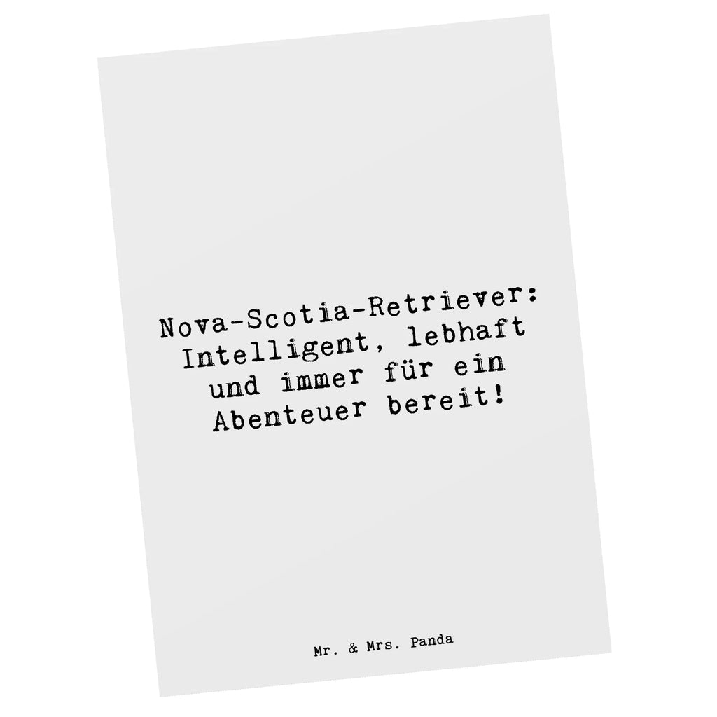 Postkarte Spruch Nova Scotia Duck Ansichtskarten, Karte, Einladung Geburtstag, Grußkarte, Einladung, Dankeskarte, Postkarte, Geschenkkarte, Einladungskarte, Ansichtskarte, Geburtstagskarte, Einladungskarten Geburtstag, Hund, Hunderasse, Rassehund, Hundebesitzer, Geschenk, Tierfreund, Schenken, Welpe