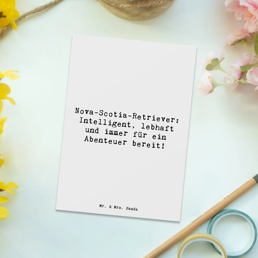 Postkarte Spruch Nova Scotia Duck Ansichtskarten, Karte, Einladung Geburtstag, Grußkarte, Einladung, Dankeskarte, Postkarte, Geschenkkarte, Einladungskarte, Ansichtskarte, Geburtstagskarte, Einladungskarten Geburtstag, Hund, Hunderasse, Rassehund, Hundebesitzer, Geschenk, Tierfreund, Schenken, Welpe
