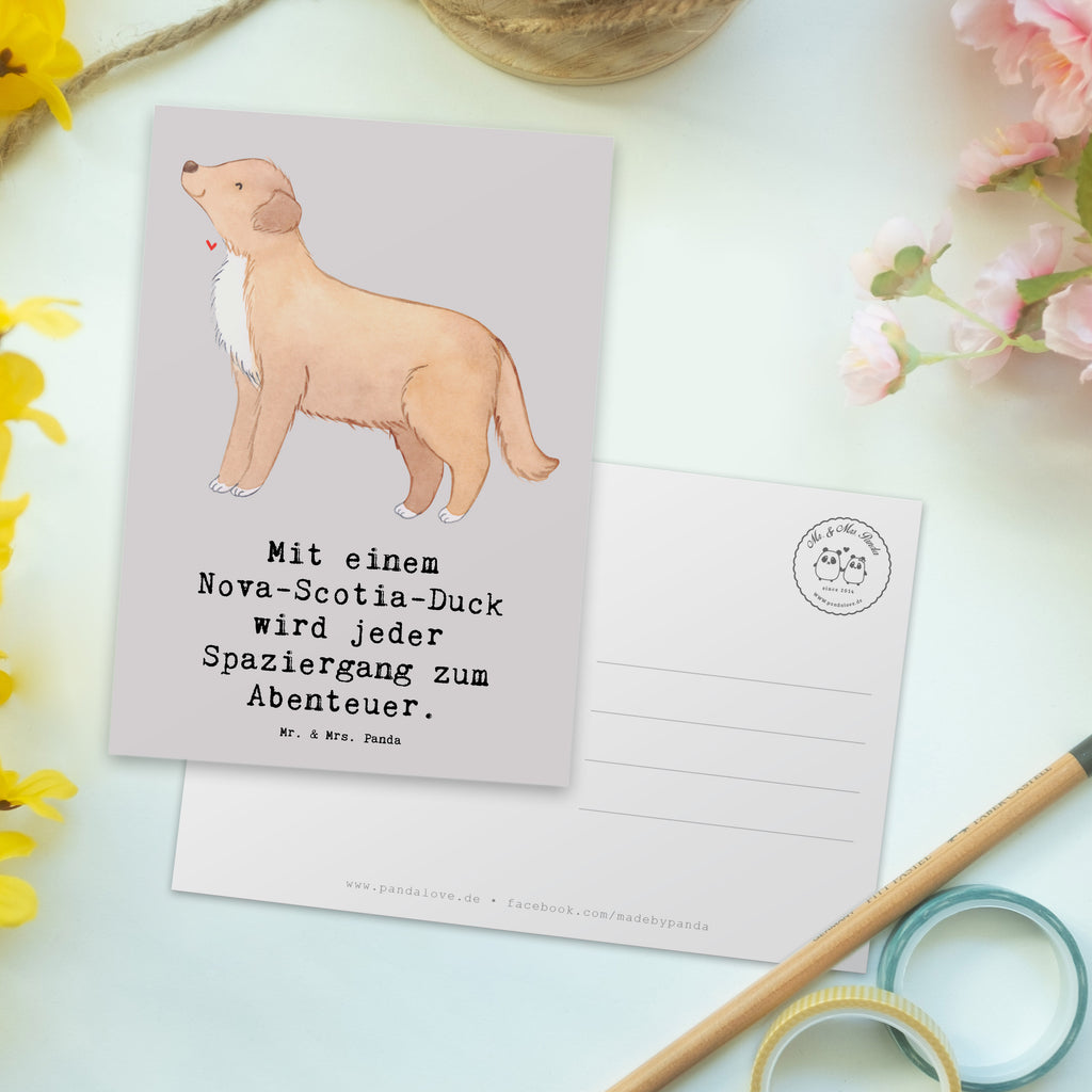 Postkarte Nova Scotia Duck Abenteuer Einladung, Einladungskarten Geburtstag, Ansichtskarte, Dankeskarte, Einladungskarte, Postkarte, Geschenkkarte, Ansichtskarten, Karte, Einladung Geburtstag, Grußkarte, Geburtstagskarte, Hund, Hunderasse, Rassehund, Hundebesitzer, Geschenk, Tierfreund, Schenken, Welpe