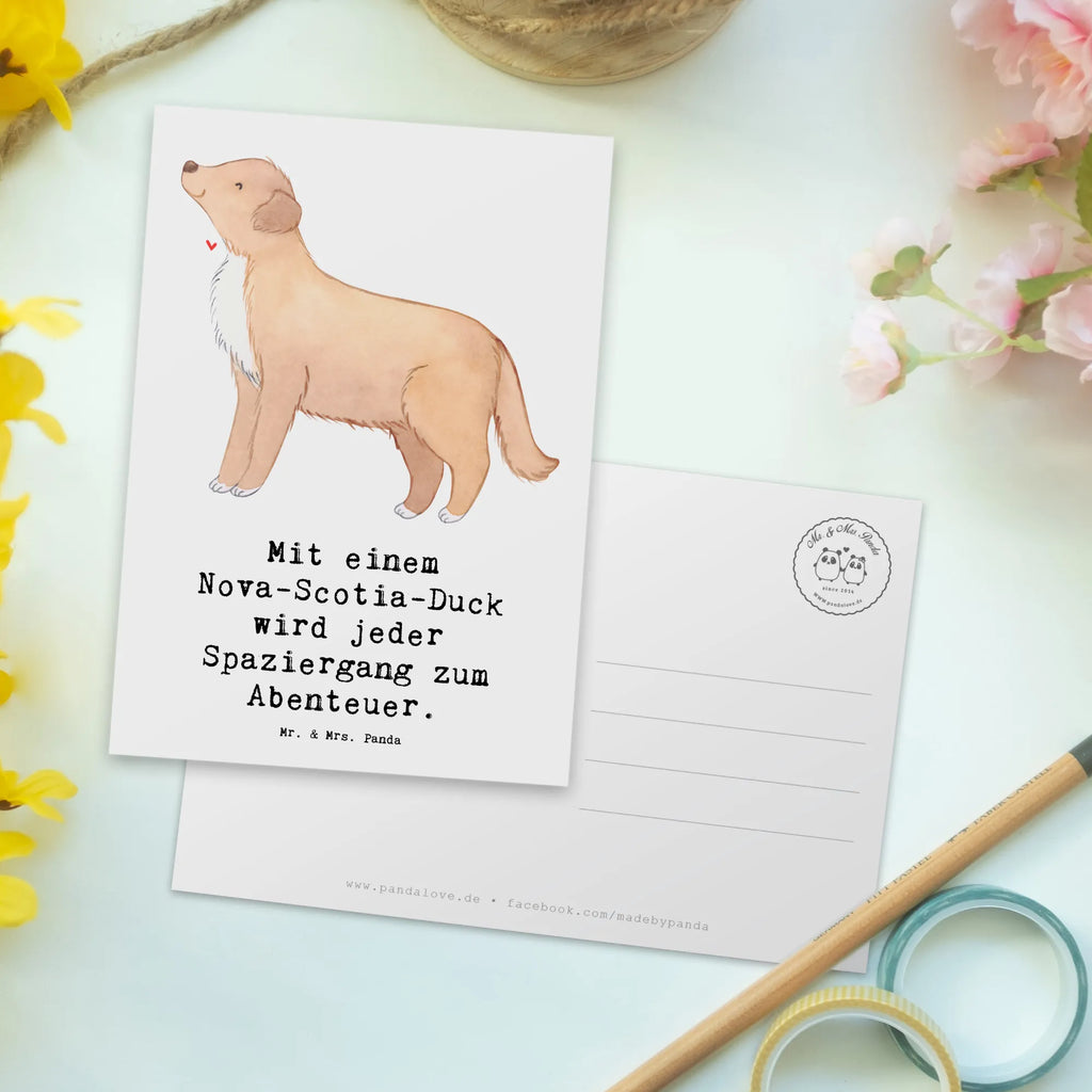 Postkarte Nova Scotia Duck Abenteuer Einladung, Einladungskarten Geburtstag, Ansichtskarte, Dankeskarte, Einladungskarte, Postkarte, Geschenkkarte, Ansichtskarten, Karte, Einladung Geburtstag, Grußkarte, Geburtstagskarte, Hund, Hunderasse, Rassehund, Hundebesitzer, Geschenk, Tierfreund, Schenken, Welpe