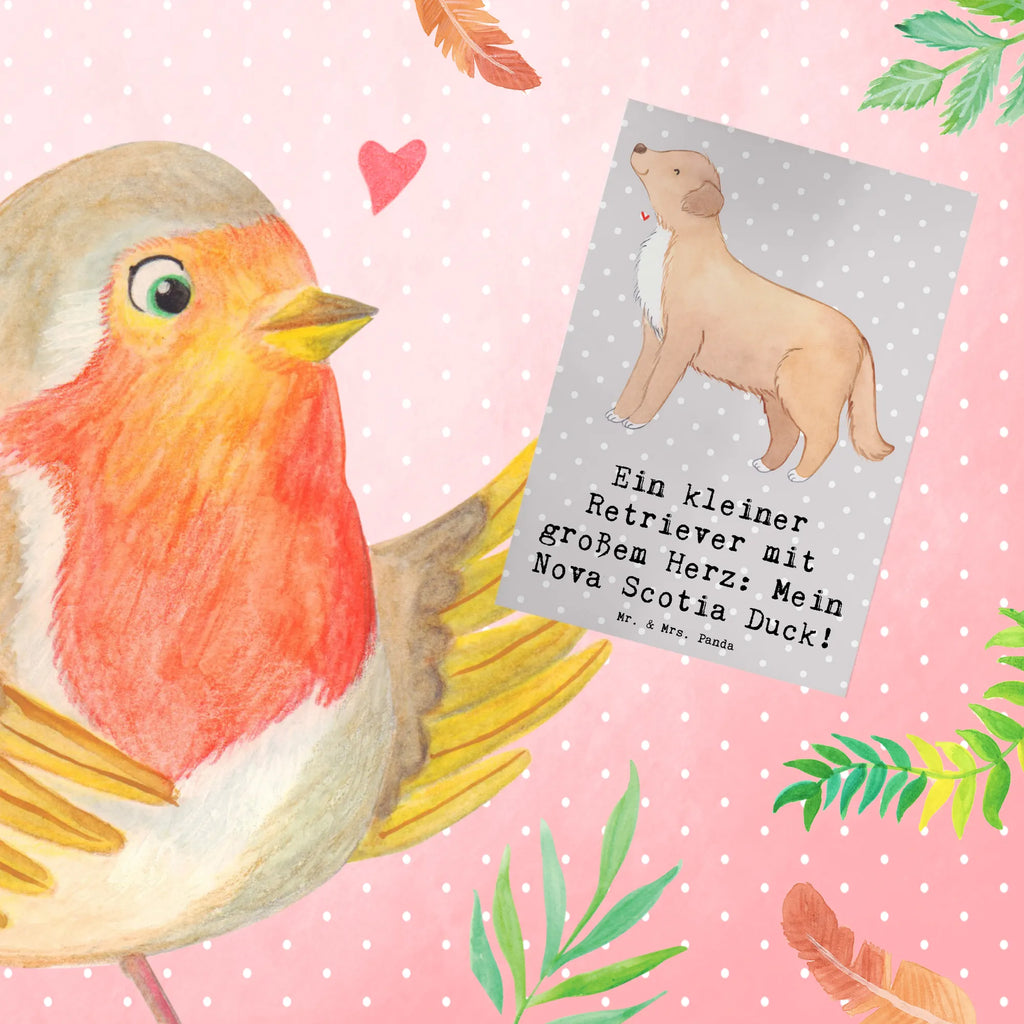 Greetings card Ein kleiner Retriever mit großem Herz: Mein Nova Scotia Duck! Hochzeitskarte, Klappkarte, Glückwunschkarte, Einladungskarte, Grußkarte, Geburtstagskarte, Karte, Ansichtskarten, Hund, Hunderasse, Rassehund, Hundebesitzer, Geschenk, Tierfreund, Schenken, Welpe