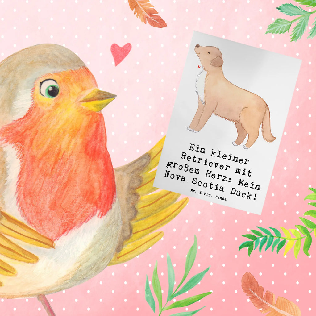 Greetings card Ein kleiner Retriever mit großem Herz: Mein Nova Scotia Duck! Hochzeitskarte, Klappkarte, Glückwunschkarte, Einladungskarte, Grußkarte, Geburtstagskarte, Karte, Ansichtskarten, Hund, Hunderasse, Rassehund, Hundebesitzer, Geschenk, Tierfreund, Schenken, Welpe