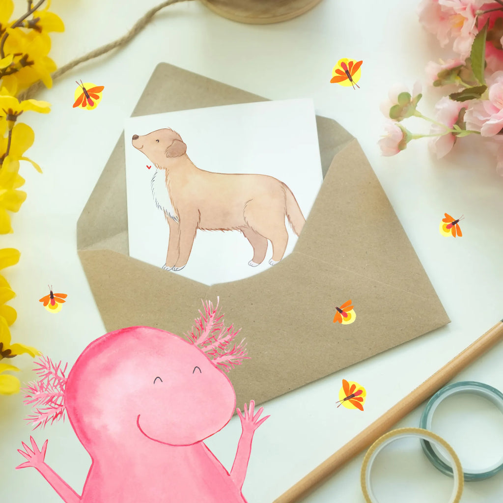 Greetings card Ein kleiner Retriever mit großem Herz: Mein Nova Scotia Duck! Hochzeitskarte, Klappkarte, Glückwunschkarte, Einladungskarte, Grußkarte, Geburtstagskarte, Karte, Ansichtskarten, Hund, Hunderasse, Rassehund, Hundebesitzer, Geschenk, Tierfreund, Schenken, Welpe