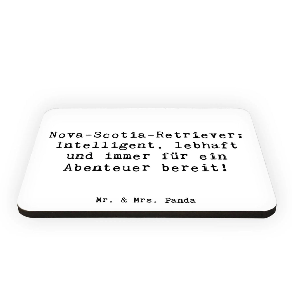 Magnet Saying Nova-Scotia-Retriever: Intelligent, lebhaft und immer für ein Abenteuer bereit! Motivmagnete, Kühlschrankmagnet, Whiteboard Magnet, Dekomagnet, Kühlschrank Dekoration, Souvenir Magnet, Pinnwandmagnet, Notiz Magnet, Hund, Hunderasse, Rassehund, Hundebesitzer, Geschenk, Tierfreund, Schenken, Welpe