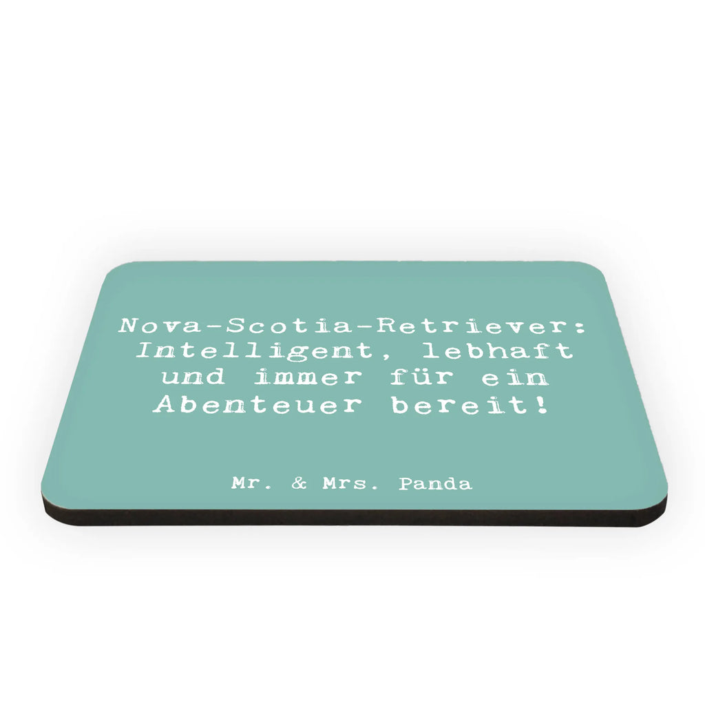 Magnet Saying Nova-Scotia-Retriever: Intelligent, lebhaft und immer für ein Abenteuer bereit! Motivmagnete, Kühlschrankmagnet, Whiteboard Magnet, Dekomagnet, Kühlschrank Dekoration, Souvenir Magnet, Pinnwandmagnet, Notiz Magnet, Hund, Hunderasse, Rassehund, Hundebesitzer, Geschenk, Tierfreund, Schenken, Welpe